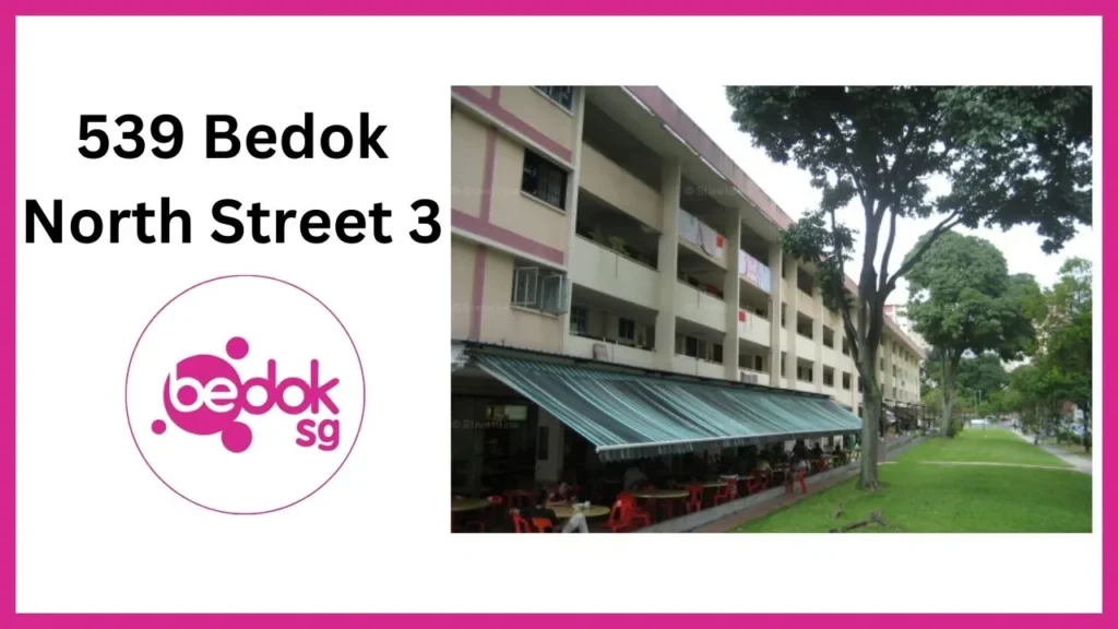 539 Bedok North Street 3