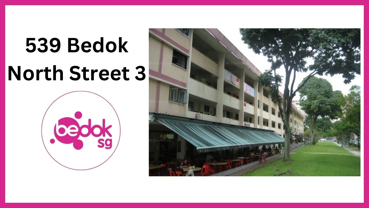539 Bedok North Street 3