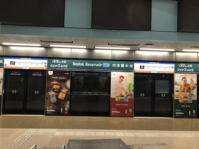 Bedok Reservoir MRT Station (DT30) Platforms
