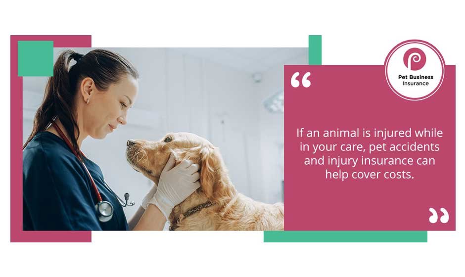 Pet Care Insurance in the UK