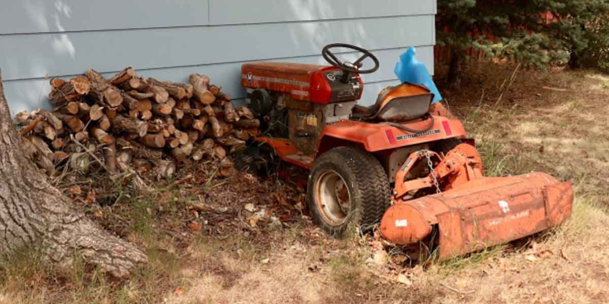 Get Your Backyard Organized This Year